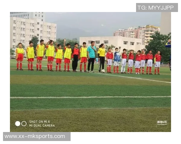 足球梦与青春岁月交织的小说推荐让你领略绿茵场上的激情与感动